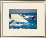 Illulissat Groenland Posters by Georges Bosio