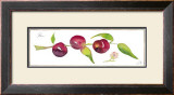 Plum Branch Prints by Robbin Gourley