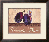 Victoria Plum Prints by Steff Green