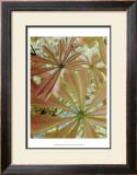 Woodland Plants in Red III Posters by Sharon Chandler