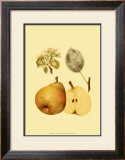 Ripe for Harvest II Art by Heinrich Pfeiffer