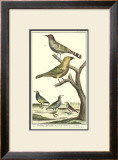 Bird Family II Art by Martinet 