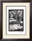 Springtime Garden VI Posters by Laura Denardo