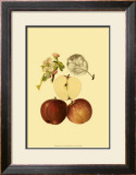 Ripe for Harvest IV Posters by Heinrich Pfeiffer