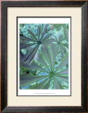 Woodland Plants in Blue III Poster by Sharon Chandler