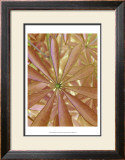 Woodland Plants in Red II Prints by Sharon Chandler