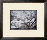 Japanese Garden Prints by Dennis Dunton