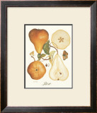 Bosc Posters by Nan Wiggins
