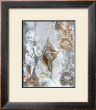 Jade Conch Prints by Sofi Taylor