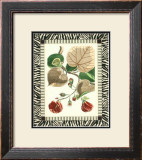 Zebra Bordered Botanical III Prints by Poiret 