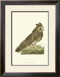 Owls III Posters by Nozeman 