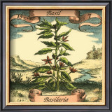 Basil Prints by Theodor de Bry