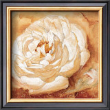 Good Year for the Rose Posters by Gabor Barthez