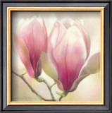 Magnolia Nigra Prints by Annemarie Peter-jaumann