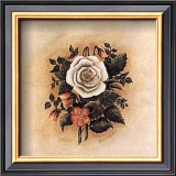 Antique Rose I Posters by Mary Hughes