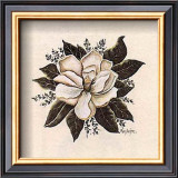 Magnolia Prints by Mary Hughes