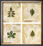 Nature's Gift I Posters por Antonietta Vernice