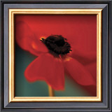 Red on Turquoise Posters by Jane Ann Butler