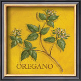 Oregano Poster by Kate McRostie