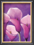 Energy in Pink Poster by Alicia Sloan