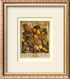 Fruits of the Season, Winter Posters by Robert Furber