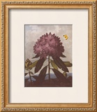 The Pontic Rhododendron Print by Dr. Robert J. Thornton