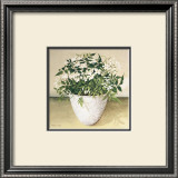 White Jasmine Poster by Galley 