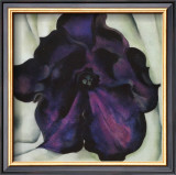 Purple Petunia Prints by Georgia O'Keeffe