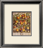 Fruits of the Season, Autumn Prints by Robert Furber