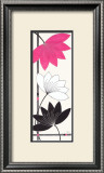Fuchsia Lotus Blooms Prints by Alan Buckle