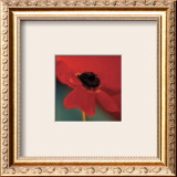 Red on Turquoise Art by Jane Ann Butler