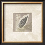 Elm Leaf Poster by Diane Kline
