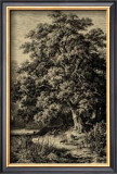 Oak Tree Prints by Ernst Heyn
