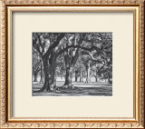 Oak Grove II Prints by Boyce Watt