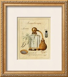 Aromatherapie, Lavande Prints by Laurence David