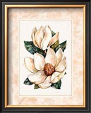 Fleur du Jour, Magnolia Prints by Jerianne Van Dijk