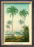 Coco Palm Posters by Ch. Lemaire