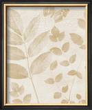 Magical Leaves II Posters by Patti Socci