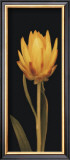 Yellow Flower Art by Prades Fabregat