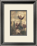 Tinted Tulips III Posters by Thea Schrack