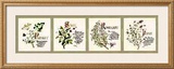 Kitchen Herbs II Posters by G. Phillips
