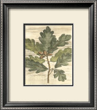 Weathered Oak Leaves I Prints by Gerard Paul Deshayes