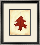 Oak Leaf Prints by Meg Page