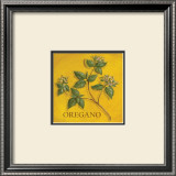 Oregano Print by Kate McRostie