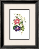 Flowers Posters by Louise Anne Twarmley
