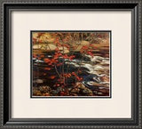 The Red Maple Prints by A. Y. Jackson
