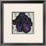 Purple Petunia Print by Georgia O'Keeffe