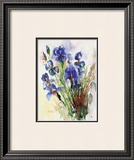 Iris Posters by J. Hammerle