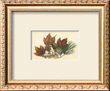Red Maple Prints by Tony Casper