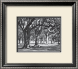 Oak Grove II Prints by Boyce Watt